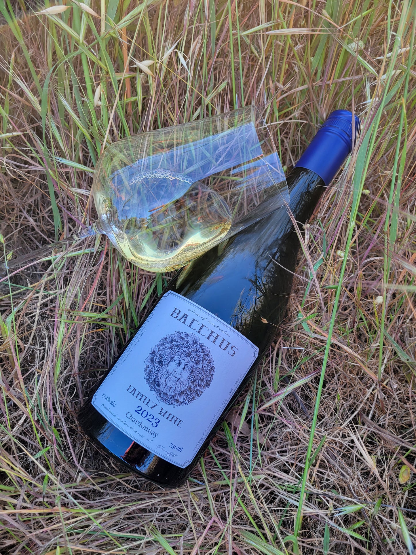 Chardonnay