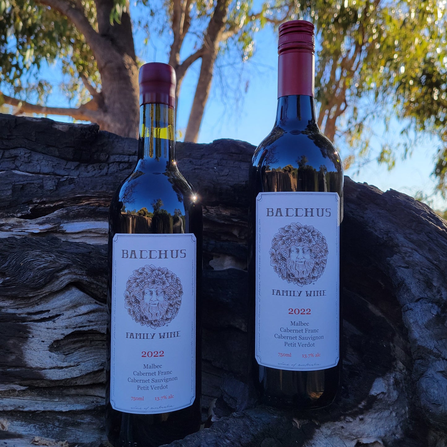 Bacchus family Wine Red blend