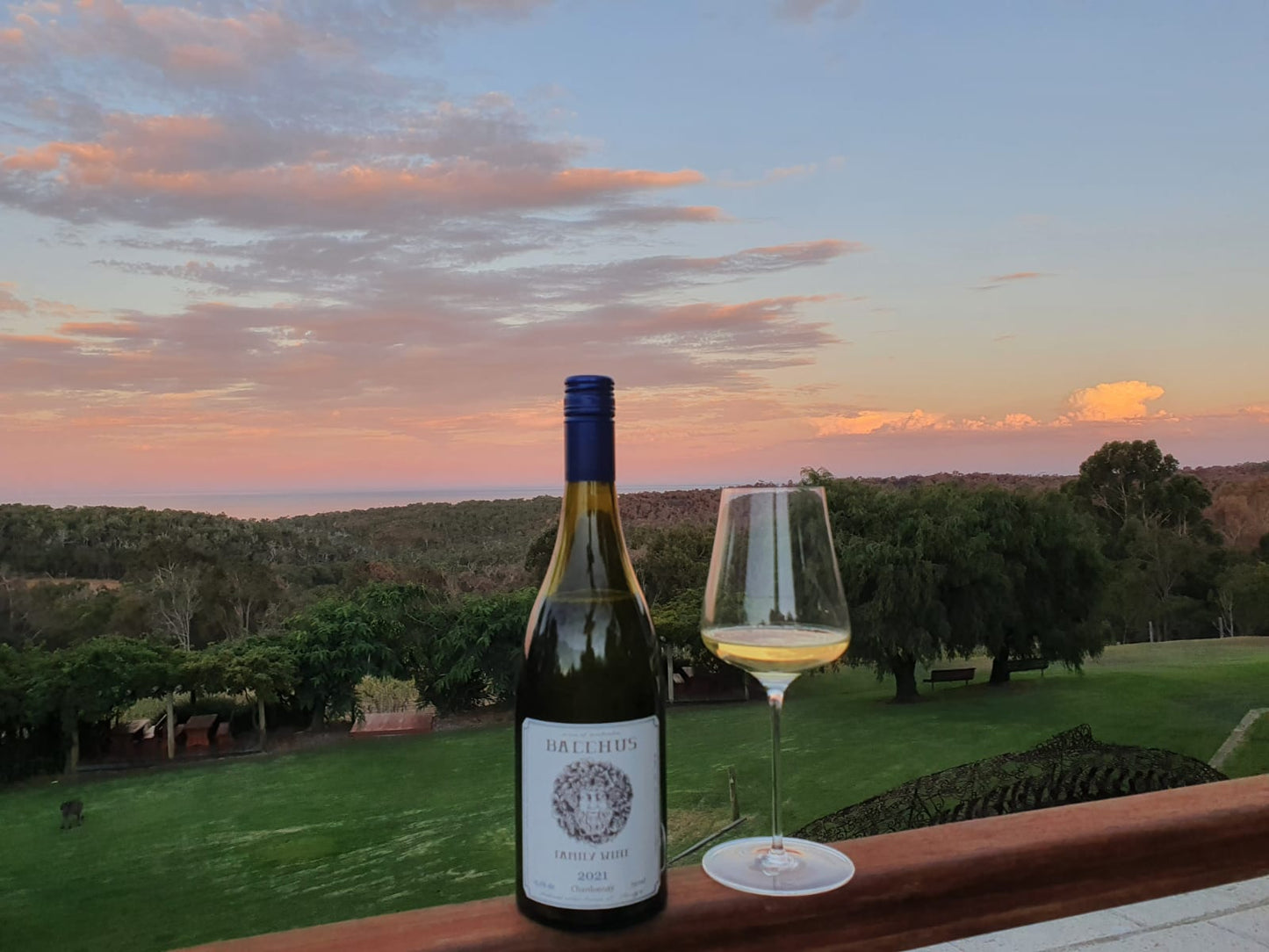 Chardonnay